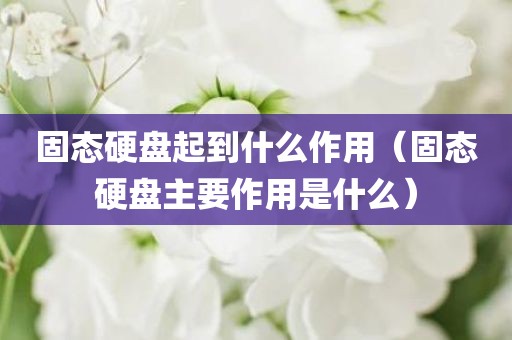 固态硬盘起到什么作用（固态硬盘主要作用是什么）