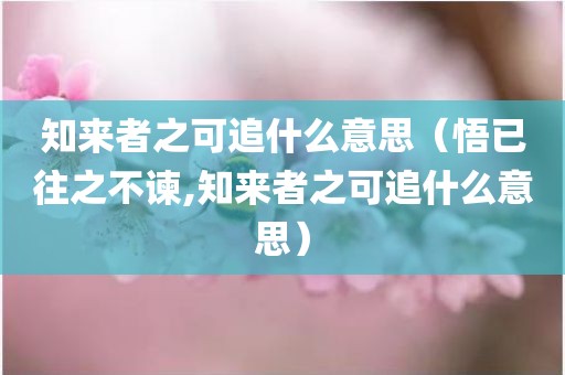 知来者之可追什么意思（悟已往之不谏,知来者之可追什么意思）