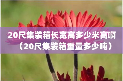 20尺集装箱长宽高多少米高啊（20尺集装箱重量多少吨）