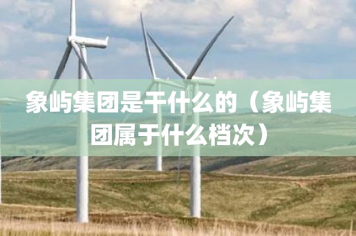 象屿集团是干什么的（象屿集团属于什么档次）