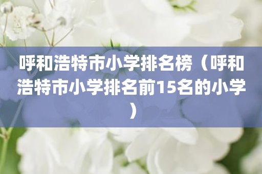 呼和浩特市小学排名榜（呼和浩特市小学排名前15名的小学）