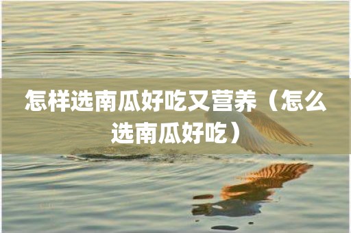 怎样选南瓜好吃又营养（怎么选南瓜好吃）