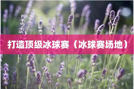 打造顶级冰球赛（冰球赛场地）