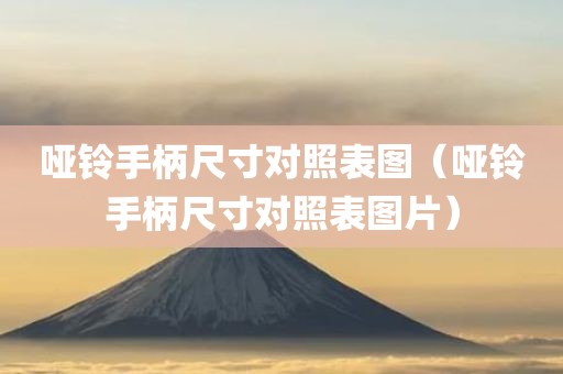 哑铃手柄尺寸对照表图（哑铃手柄尺寸对照表图片）