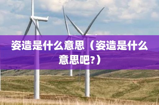 姿造是什么意思(姿造是什么意思吧?)