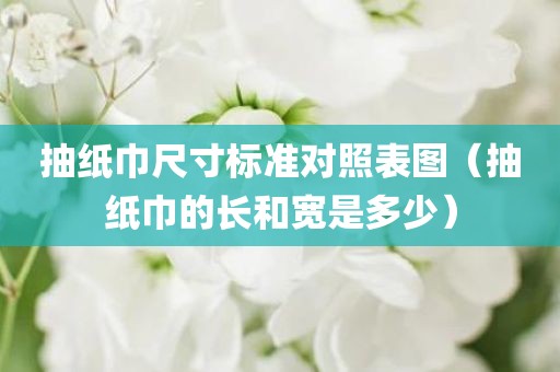 抽纸巾尺寸标准对照表图（抽纸巾的长和宽是多少）