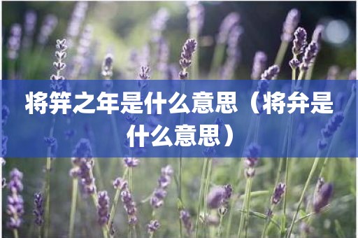 将笄之年是什么意思（将弁是什么意思）