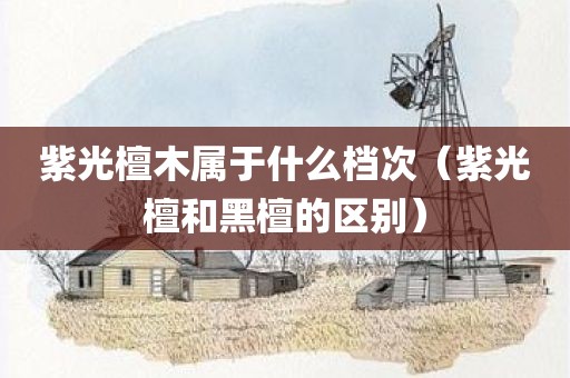 紫光檀木属于什么档次（紫光檀和黑檀的区别）