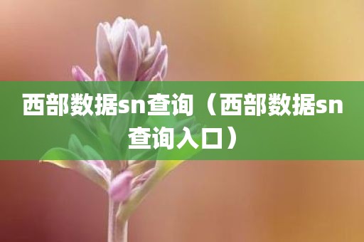 西部数据sn查询（西部数据sn查询入口）