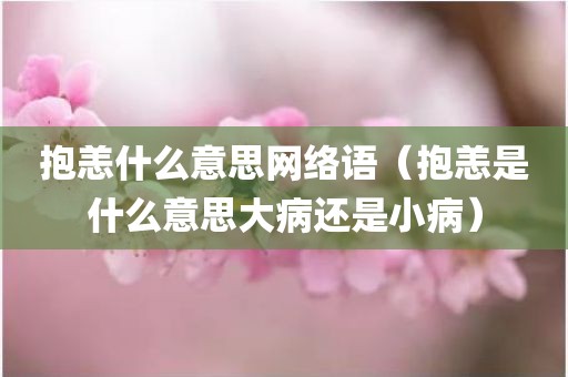 抱恙什么意思网络语（抱恙是什么意思大病还是小病）