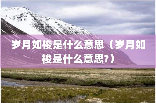岁月如梭是什么意思（岁月如梭是什么意思?）
