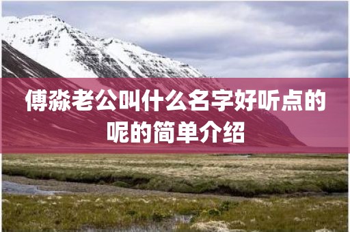 傅淼老公叫什么名字好听点的呢的简单介绍