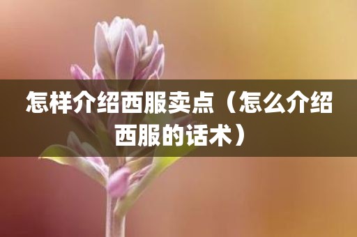 怎样介绍西服卖点（怎么介绍西服的话术）