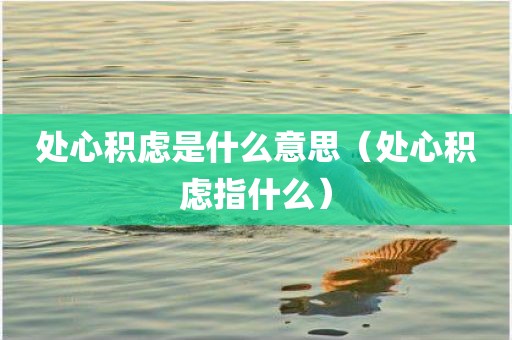 处心积虑是什么意思（处心积虑指什么）