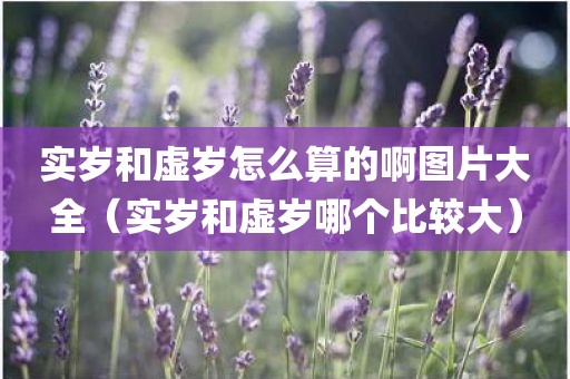 实岁和虚岁怎么算的啊图片大全（实岁和虚岁哪个比较大）