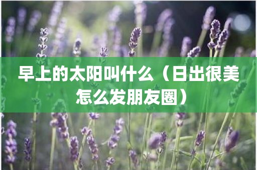 早上的太阳叫什么（日出很美 怎么发朋友圈）
