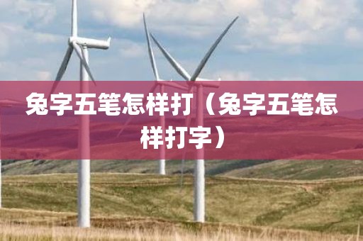 兔字五笔怎样打（兔字五笔怎样打字）
