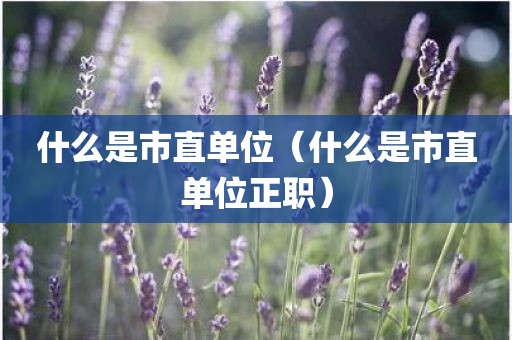 什么是市直单位（什么是市直单位正职）