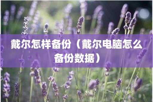 戴尔怎样备份（戴尔电脑怎么备份数据）