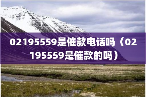 02195559是催款电话吗（02195559是催款的吗）