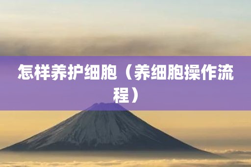 怎样养护细胞（养细胞操作流程）