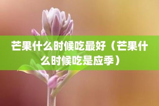 芒果什么时候吃最好（芒果什么时候吃是应季）