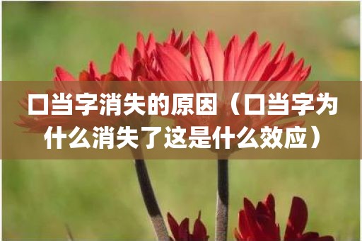 一个石一个示读什么(石加示怎么打出来) - 图小雯知识