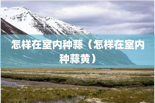 怎样在室内种蒜（怎样在室内种蒜黄）
