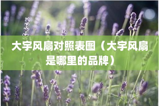大宇风扇对照表图（大宇风扇是哪里的品牌）