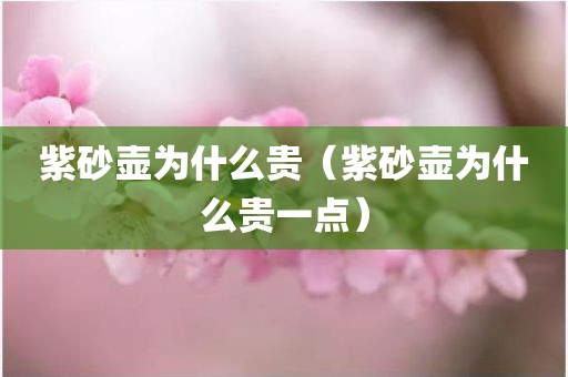 紫砂壶为什么贵（紫砂壶为什么贵一点）