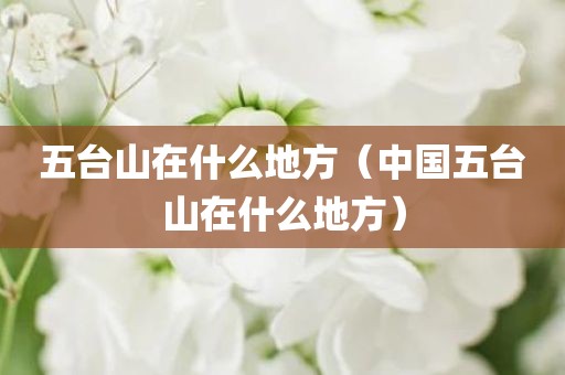 五台山在什么地方（中国五台山在什么地方）