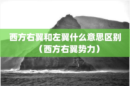 西方右翼和左翼什么意思区别（西方右翼势力）