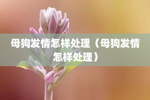 母狗发情怎样处理（母狗发情怎样处理）