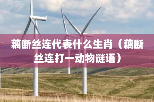 藕断丝连代表什么生肖（藕断丝连打一动物谜语）