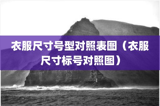 衣服尺寸号型对照表图（衣服尺寸标号对照图）