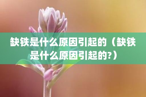 缺铁是什么原因引起的（缺铁是什么原因引起的?）