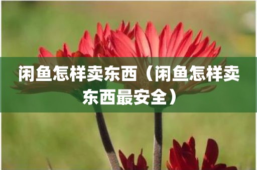 闲鱼怎样卖东西（闲鱼怎样卖东西最安全）