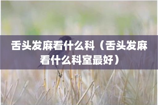 舌头发麻看什么科（舌头发麻看什么科室最好）