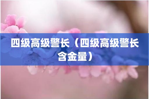 四级高级警长（四级高级警长含金量）