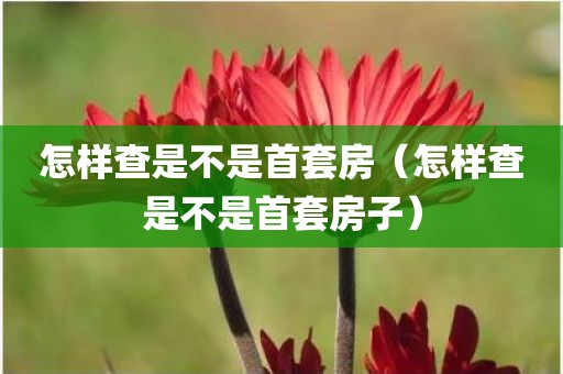 怎样查是不是首套房（怎样查是不是首套房子）