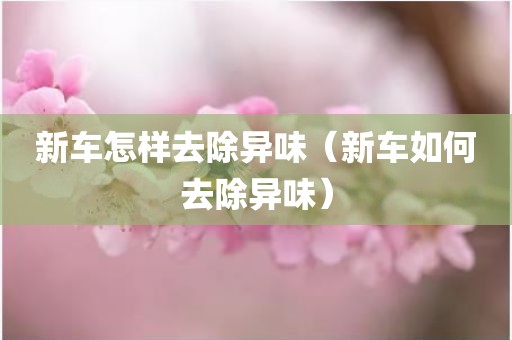 新车怎样去除异味（新车如何去除异味）