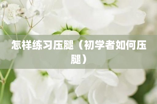 怎样练习压腿（初学者如何压腿）