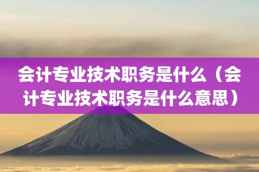 会计专业技术职务是什么（会计专业技术职务是什么意思）