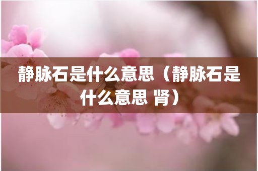 静脉石是什么意思（静脉石是什么意思 肾）