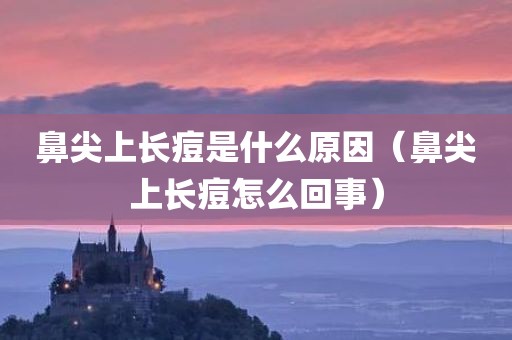鼻尖上长痘是什么原因（鼻尖上长痘怎么回事）
