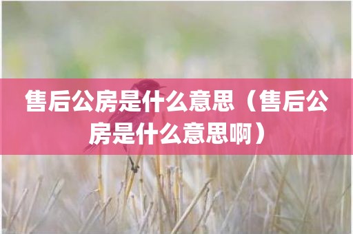 售后公房是什么意思(售后公房是什么意思啊)