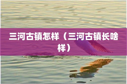 三河古镇怎样（三河古镇长啥样）