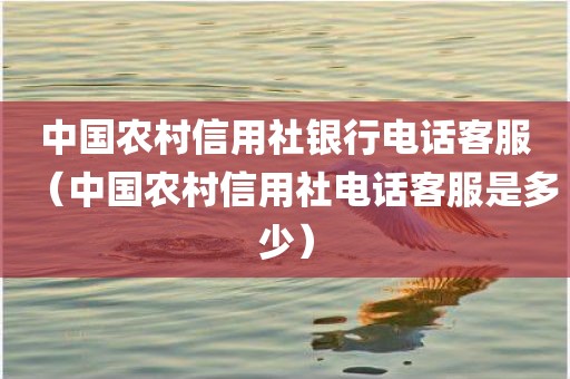 中国农村信用社银行电话客服（中国农村信用社电话客服是多少）