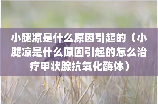 小腿凉是什么原因引起的(小腿凉是什么原因引起的怎么治疗甲状腺抗氧化酶体)