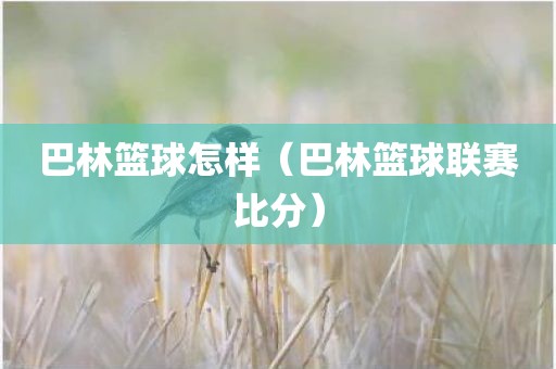 巴林篮球怎样（巴林篮球联赛比分）